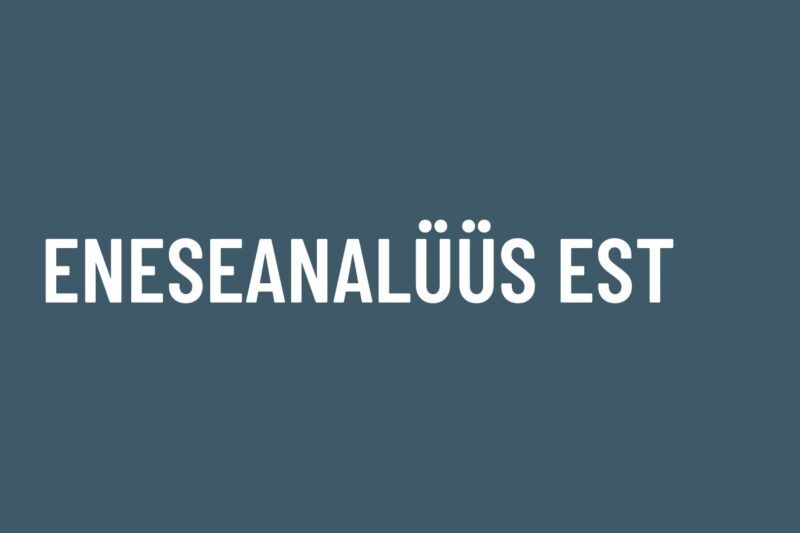 ENESEANALÜÜS EST